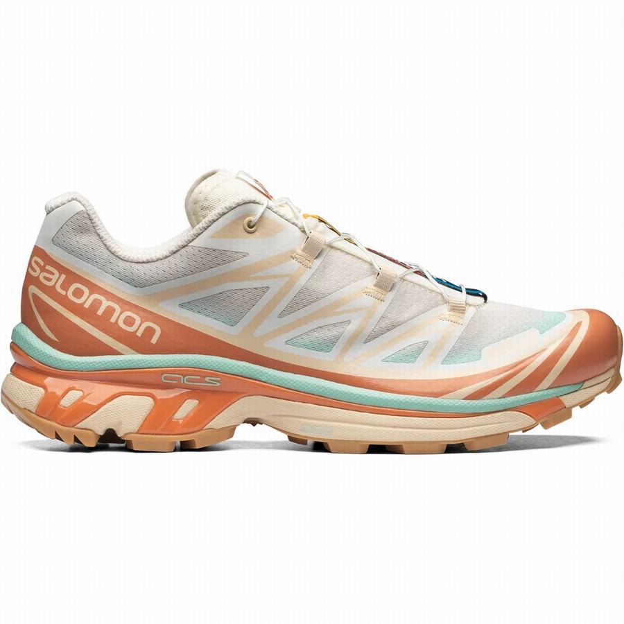 Salomon Xt-6 Skyline Erkek Koşu Ayakkabısı Renkli [MDO687QS]